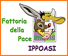 Fattoria della Pace Ippoasi
