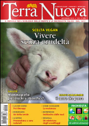 Terra Nuova
