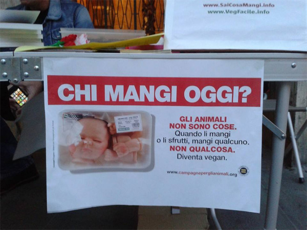 la spezia 1 - Novit&agrave; da La Spezia